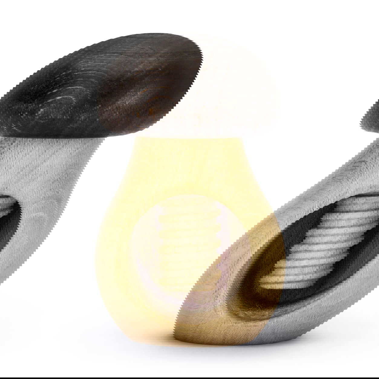 slide-image