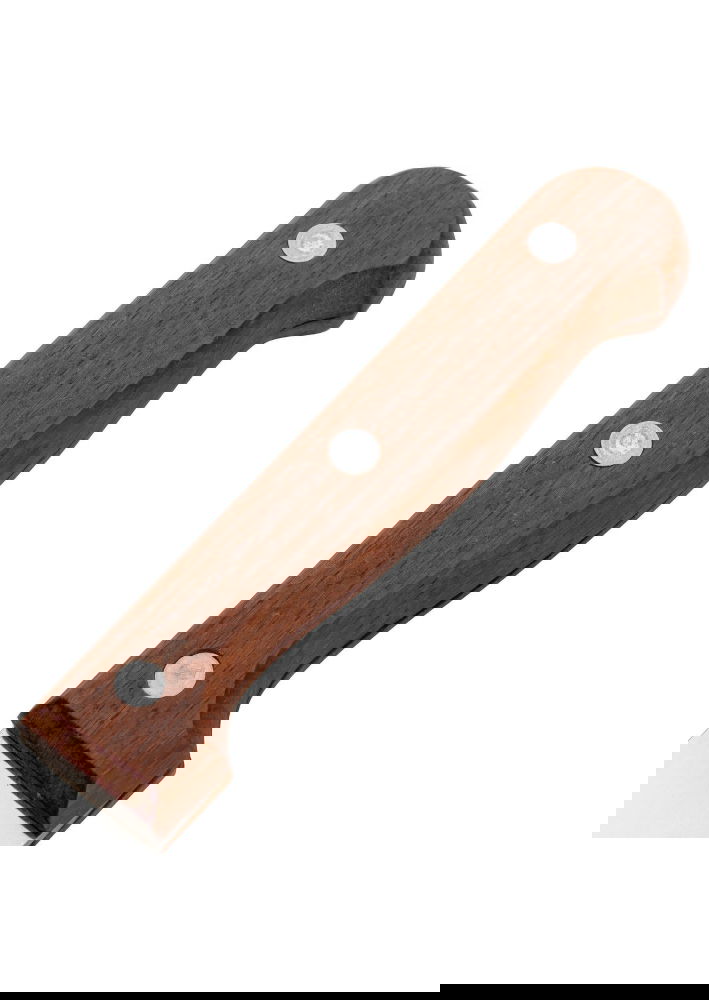 slide-image