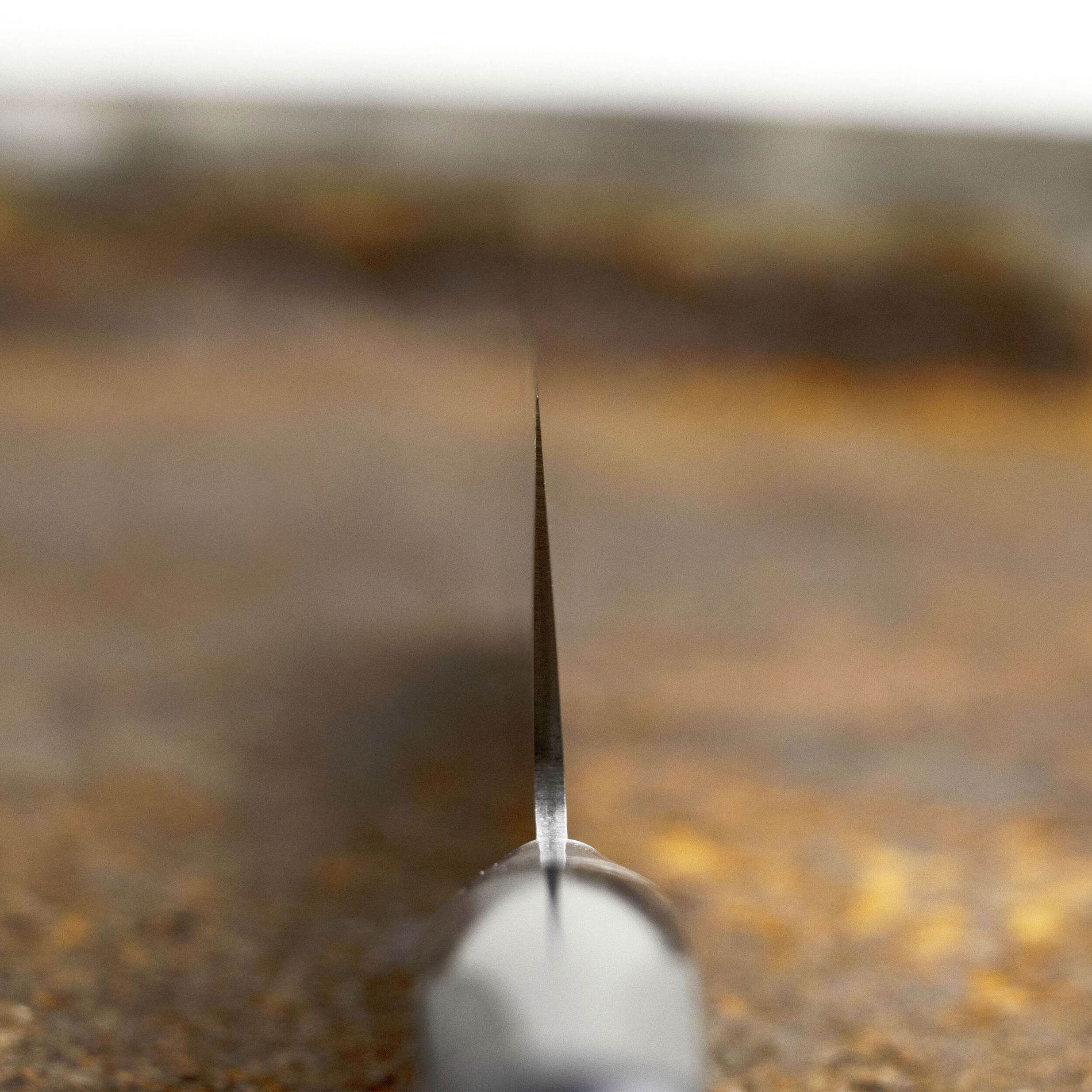 slide-image