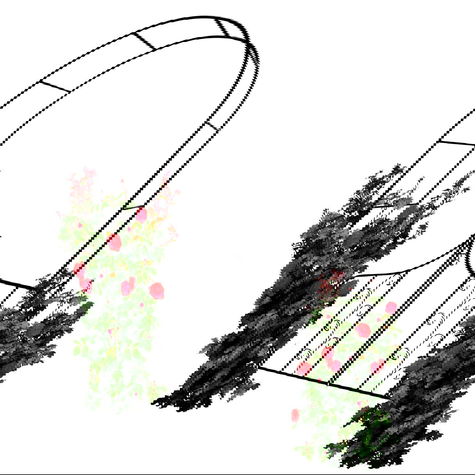 slide-image