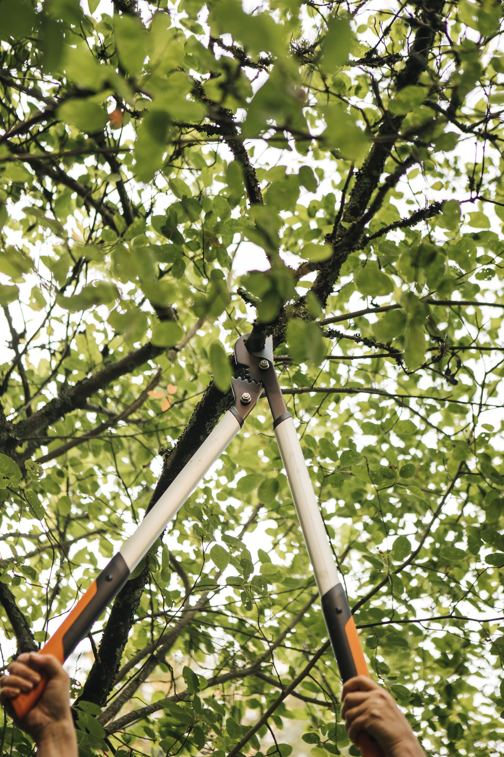 FISKARS PowerGear X LX98 L - oceľový dvojručný kovadlinový sekátor