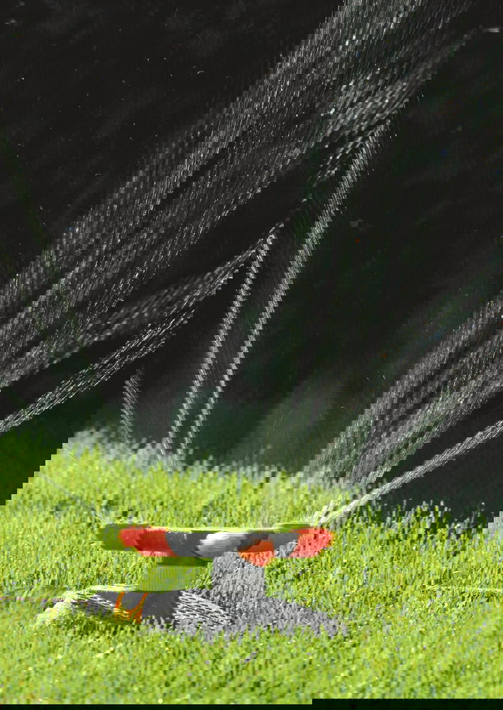 slide-image
