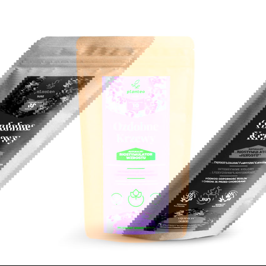 slide-image