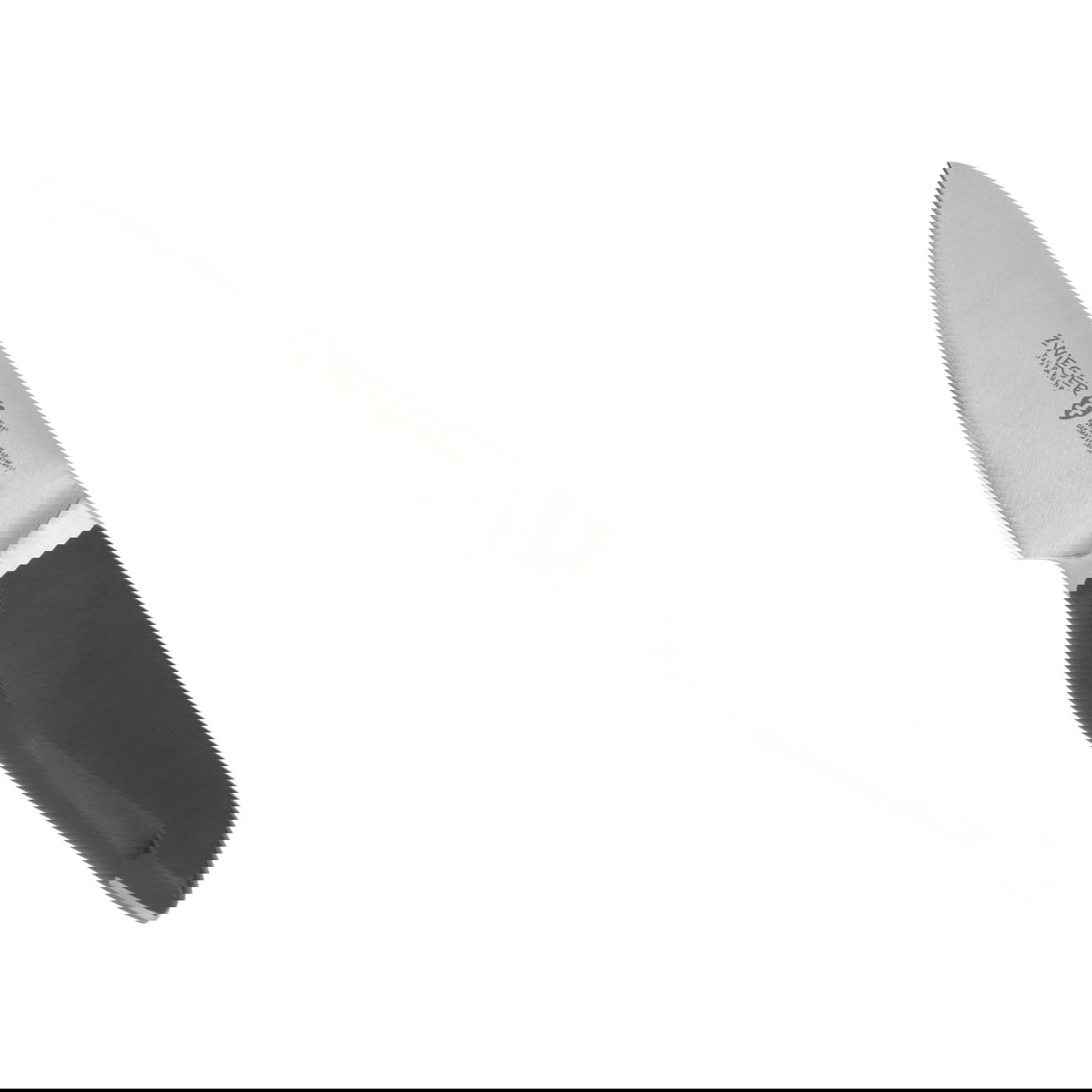 slide-image