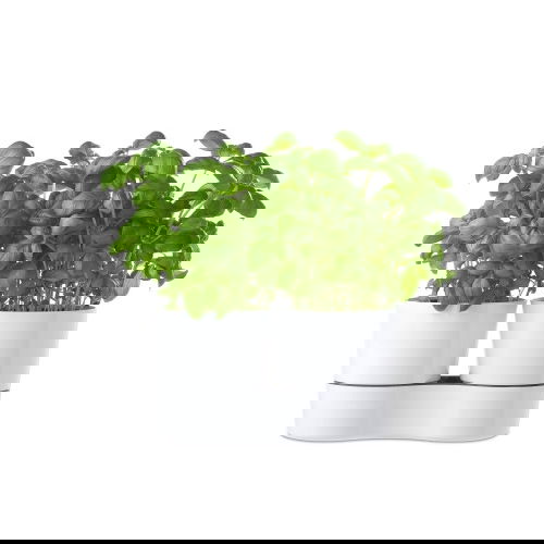 MEPAL Hydro Herb 22cm bílý - samozavlažovací melaminový květináč podwójna