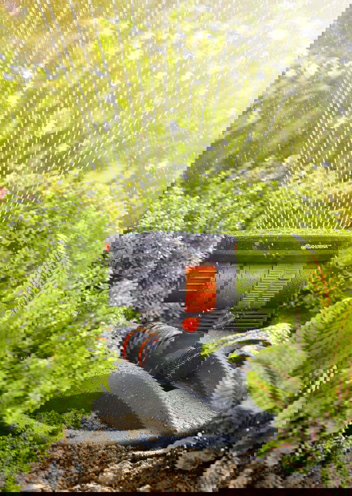 slide-image
