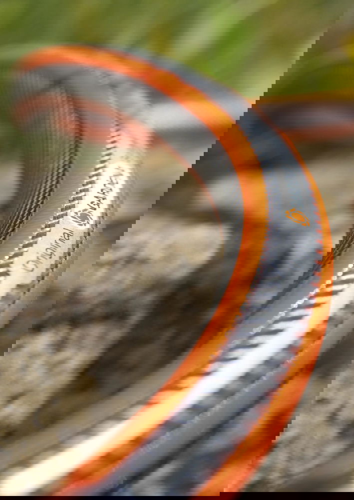 slide-image