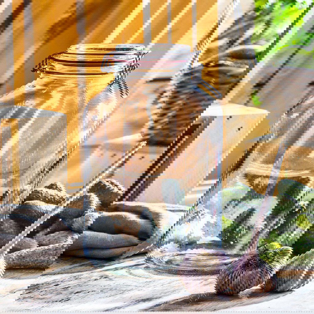 slide-image