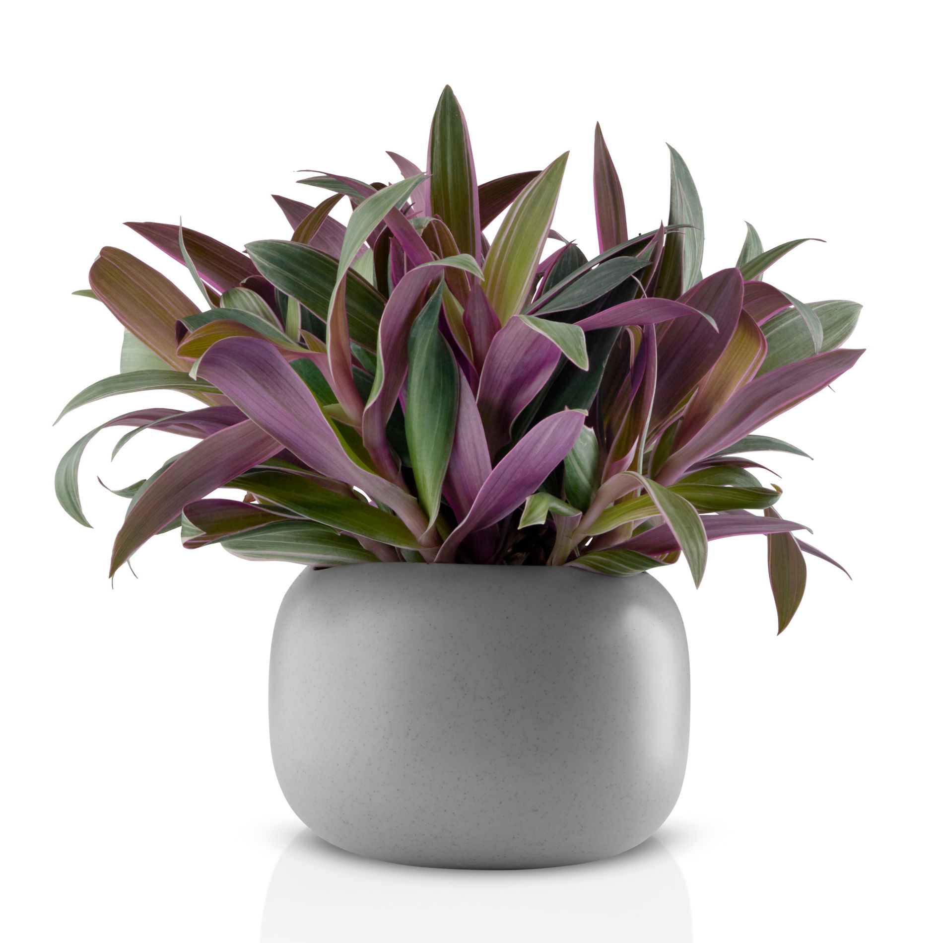 EVA SOLO Stone 16 cm - keramický květináč / obal na květiny