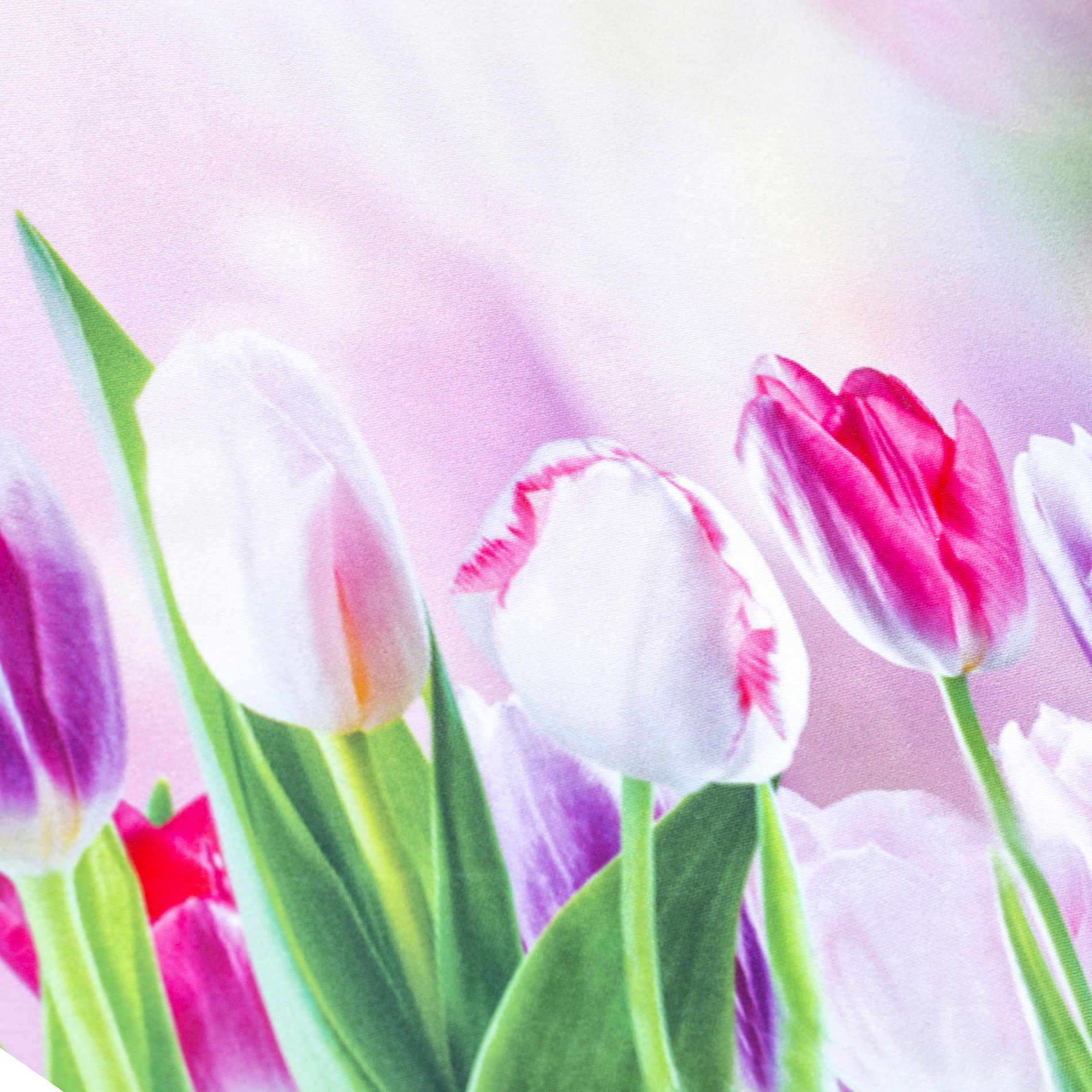 Polyesterový běhoun na stůl odolný proti skvrnám JEDEKA MILANO TULIPS růžový 50 x 100 cm