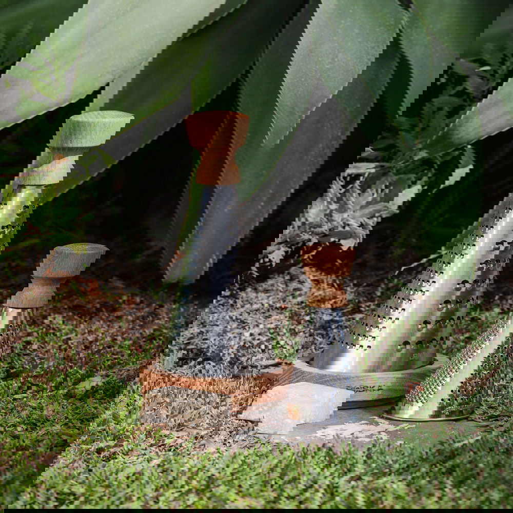 slide-image