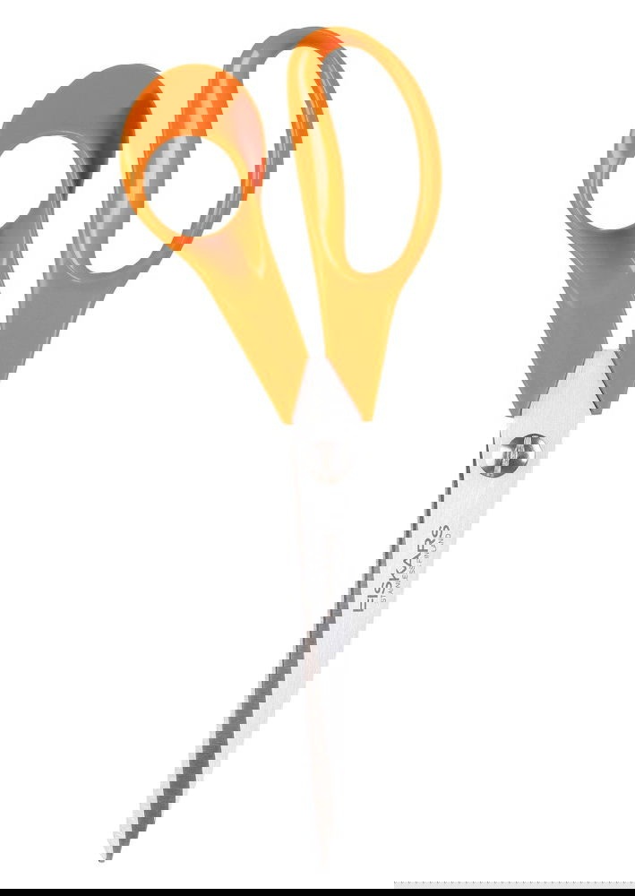 slide-image