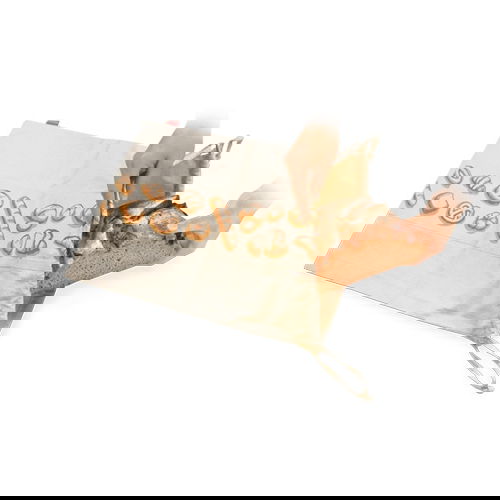 slide-image
