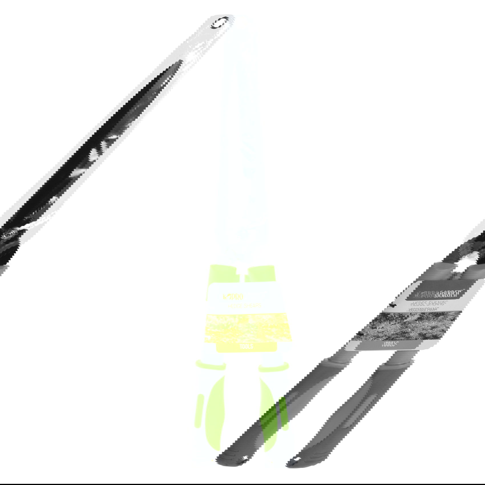 slide-image