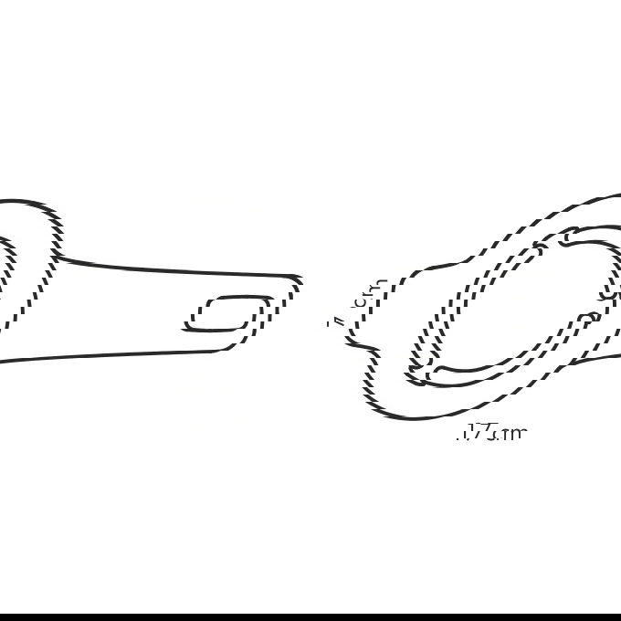 slide-image