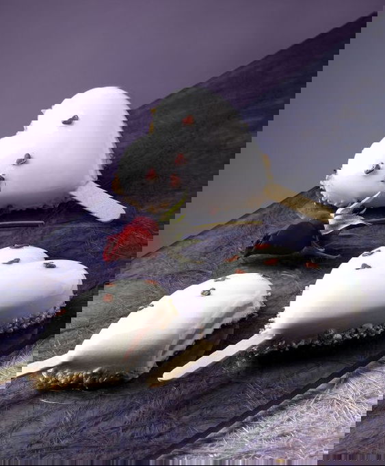 slide-image