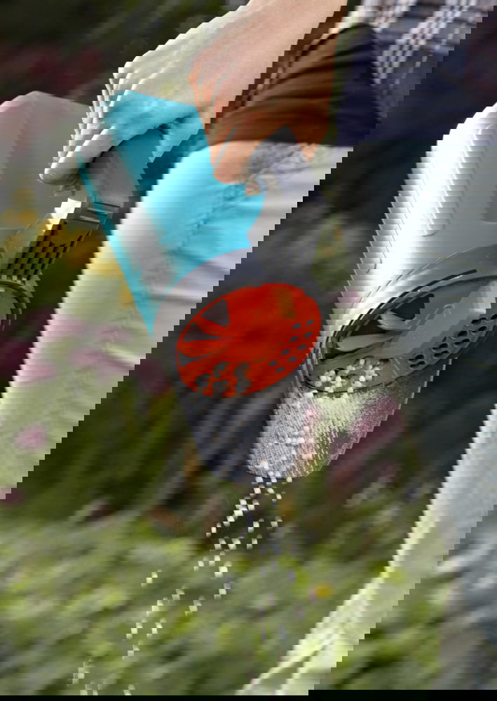 slide-image