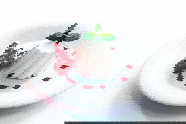 slide-image