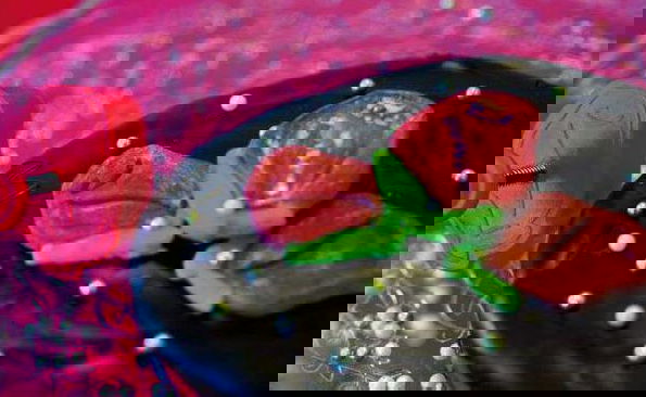 slide-image