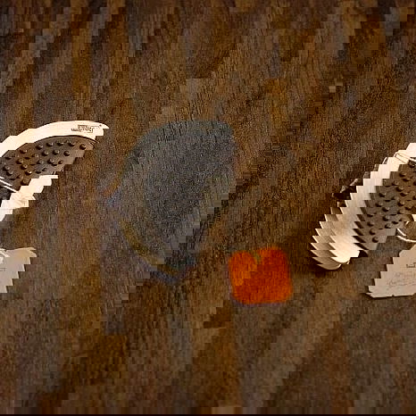 slide-image