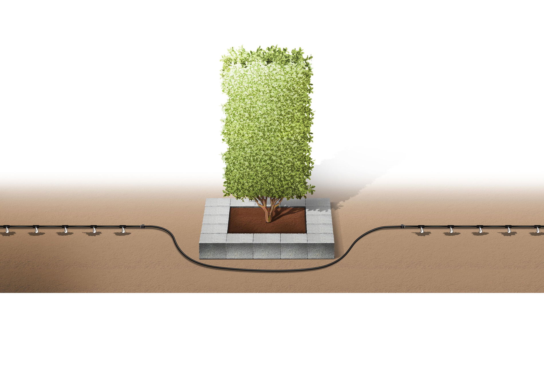 slide-image
