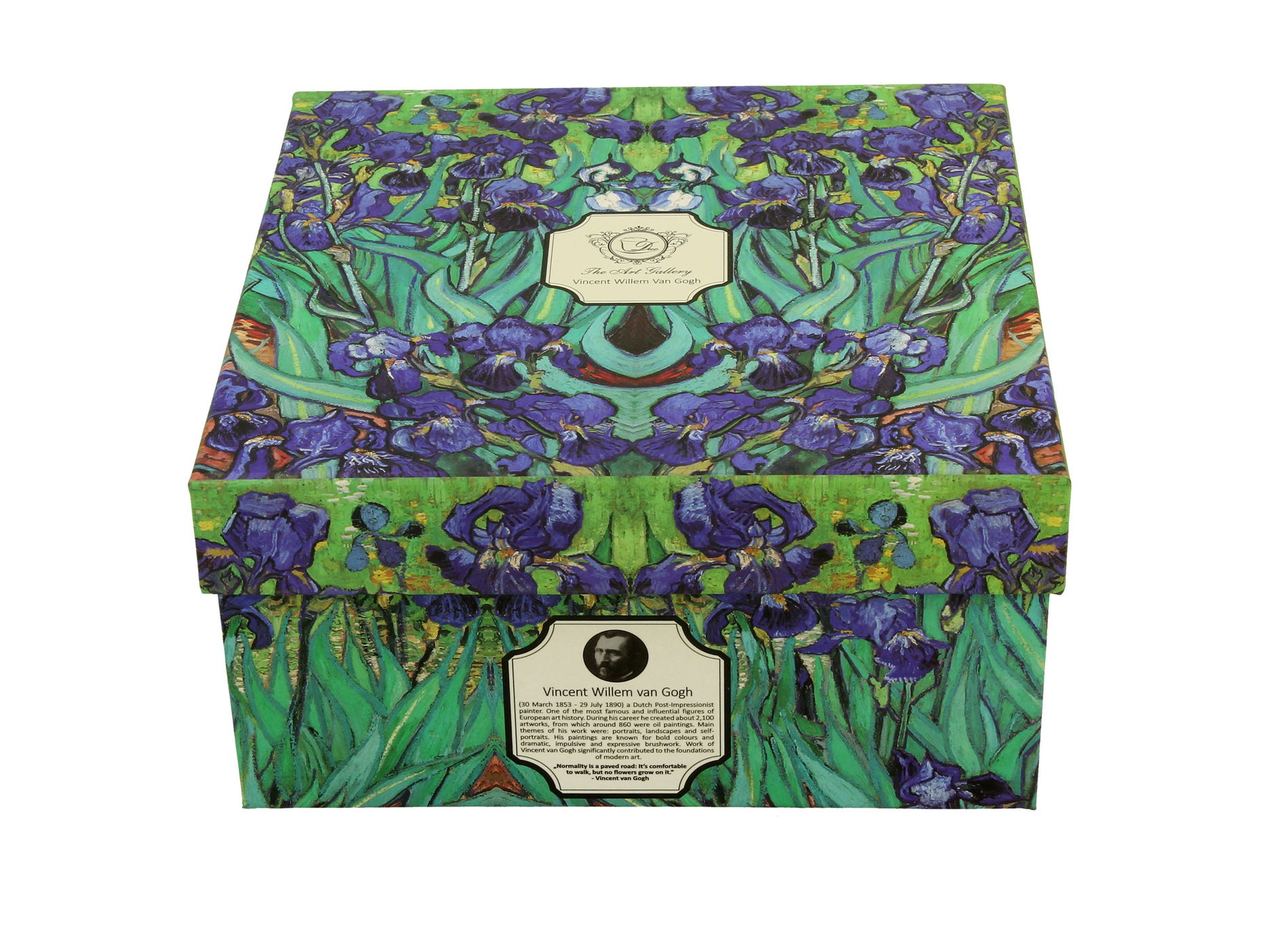Porcelánový šálek na kávu a čaj s podšálkem DUO ART GALLERY IRISES BY V. VAN GOGH 270 ml