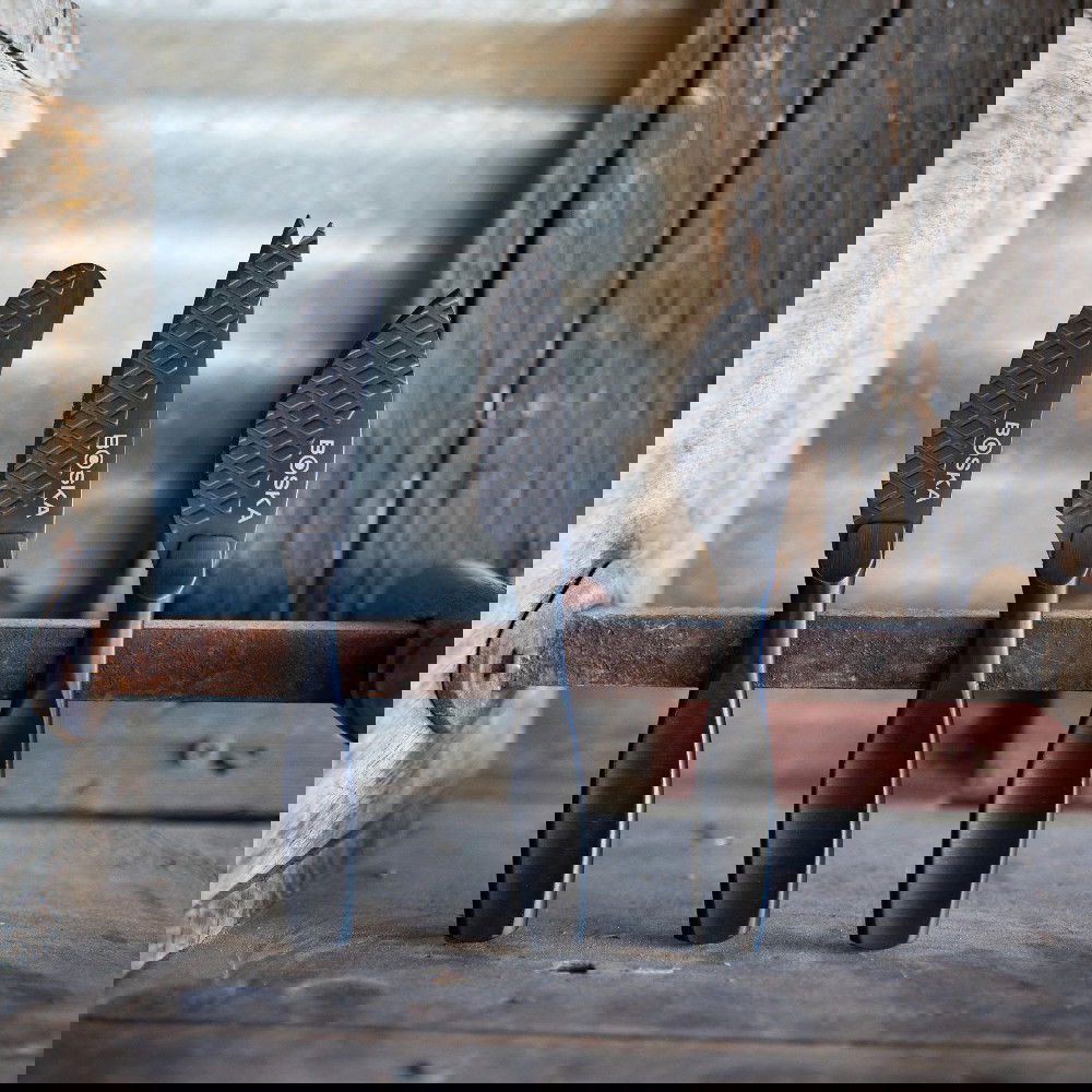 slide-image