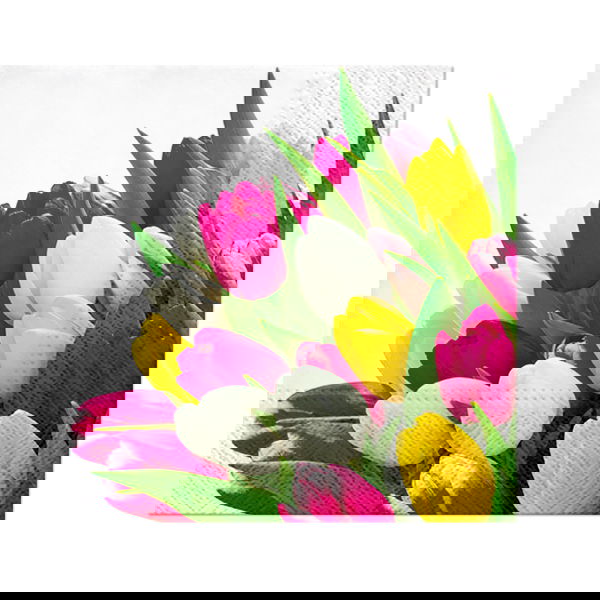 slide-image