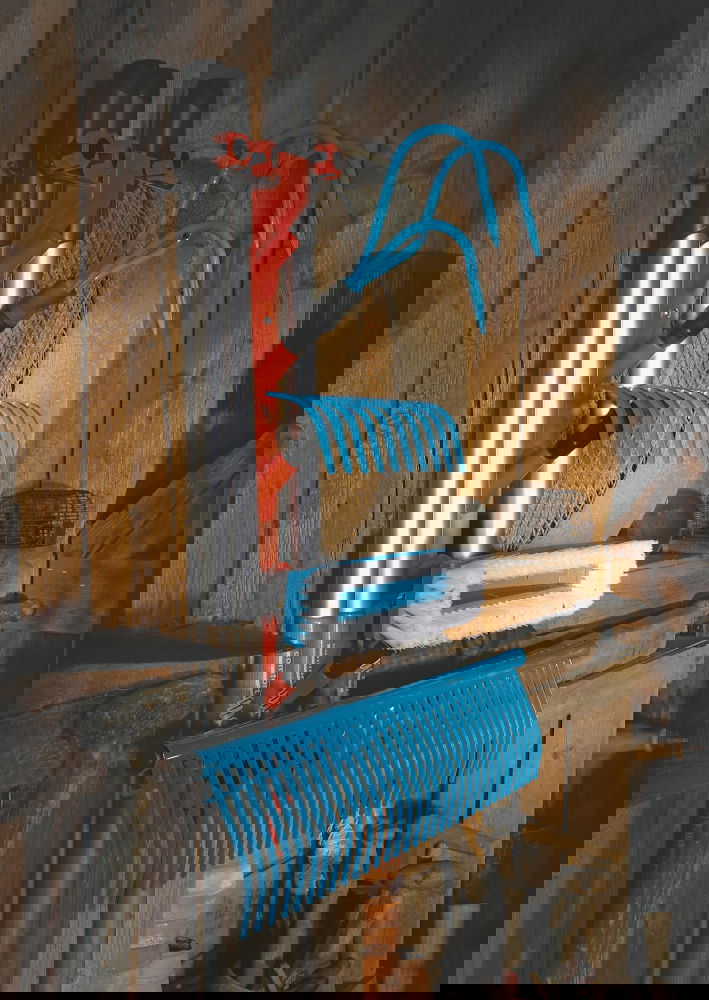 slide-image