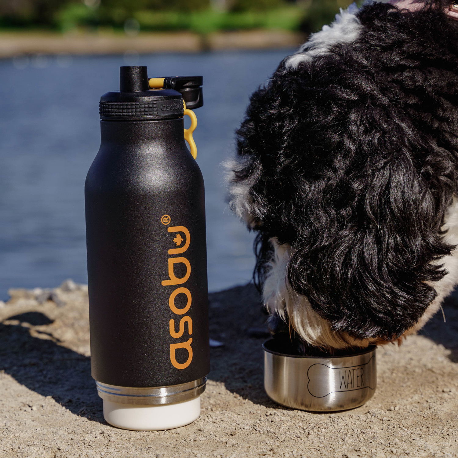 ASOBU The Asobu Buddy Black 1 l - termoska na vodu z nerezové oceli s miskami pro psa