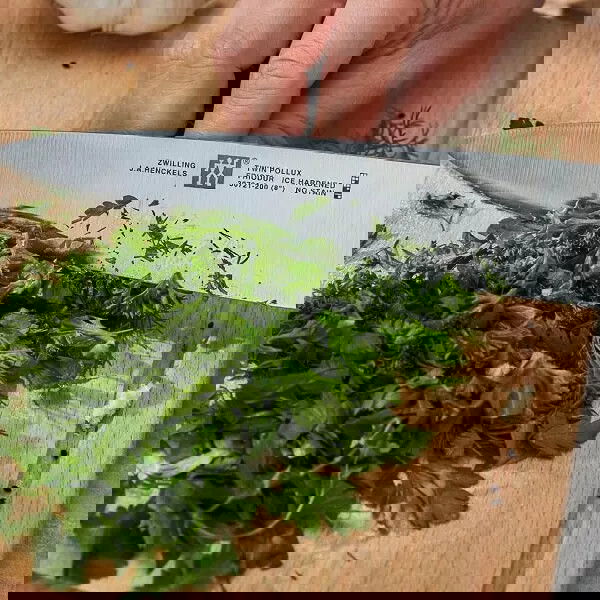slide-image