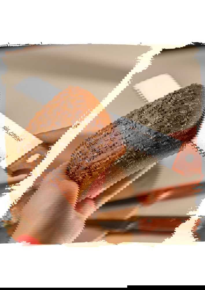 slide-image
