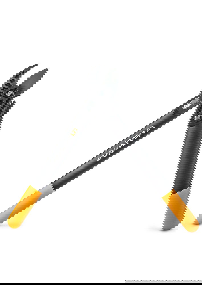 slide-image