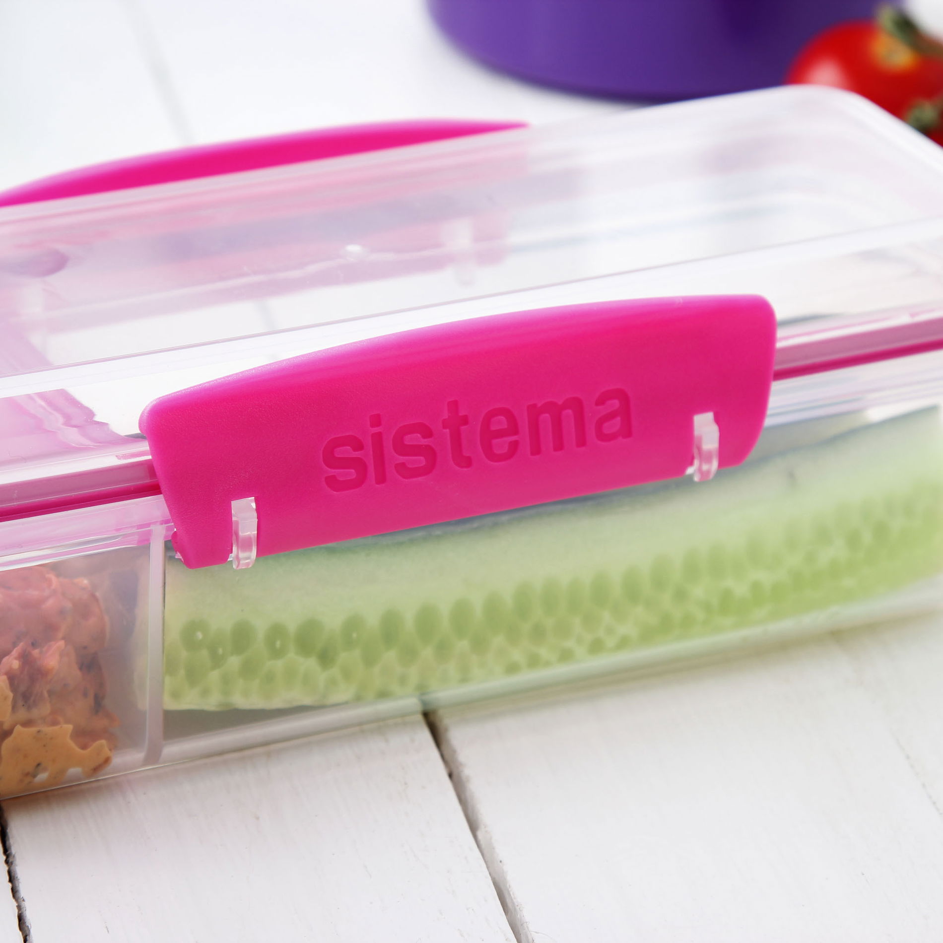 Sistema Plastics Sistema Plastics