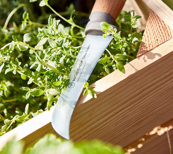 Zestaw noży ze stali nierdzewnej WUSTHOF Urban Farmer