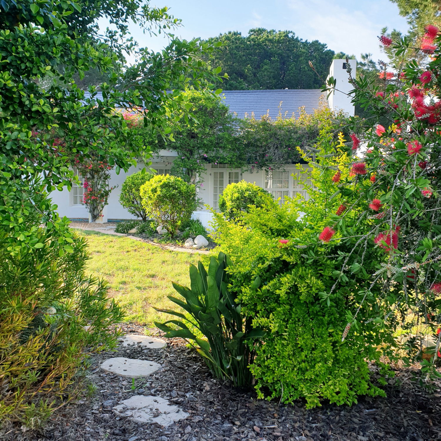 Garden - roleta do pergoli ogrodowej